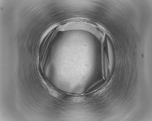 X0000059791418200511111523