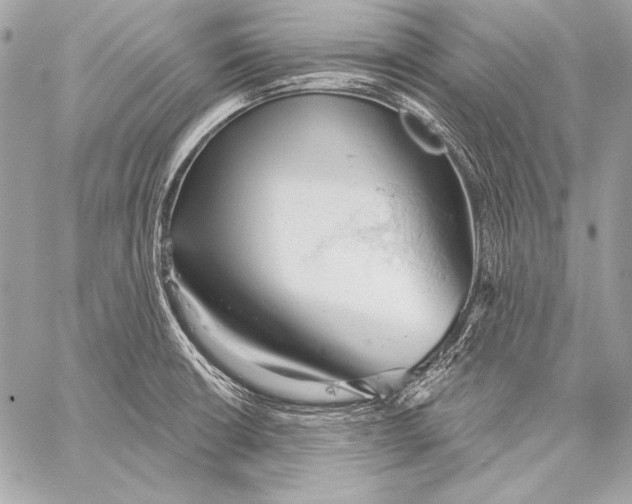 X0000059791426200511111523
