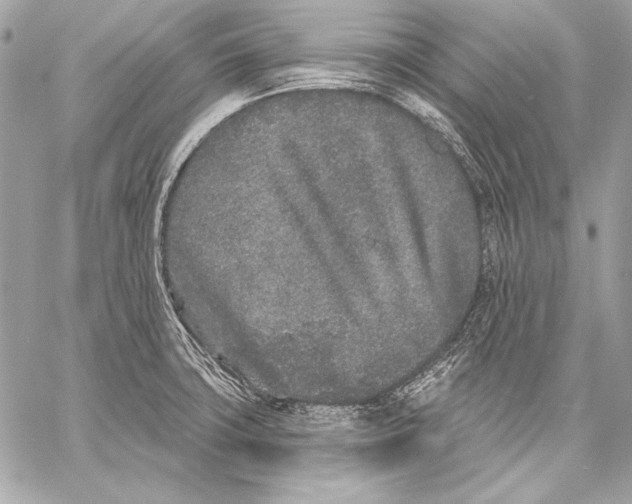 X0000059791427200511111523