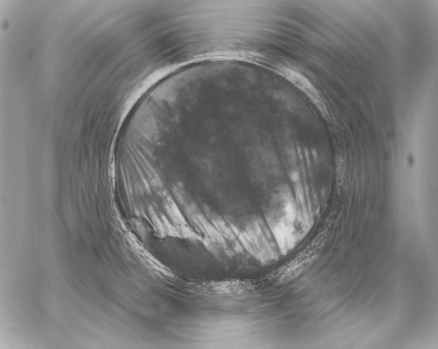 X0000059791428200511111523