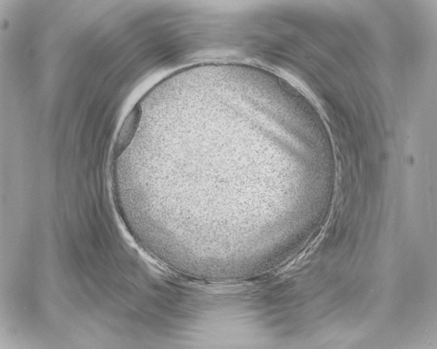 X0000059791440200511111524