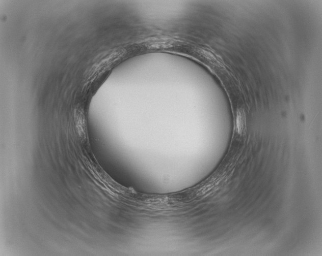 X0000059791444200511111523
