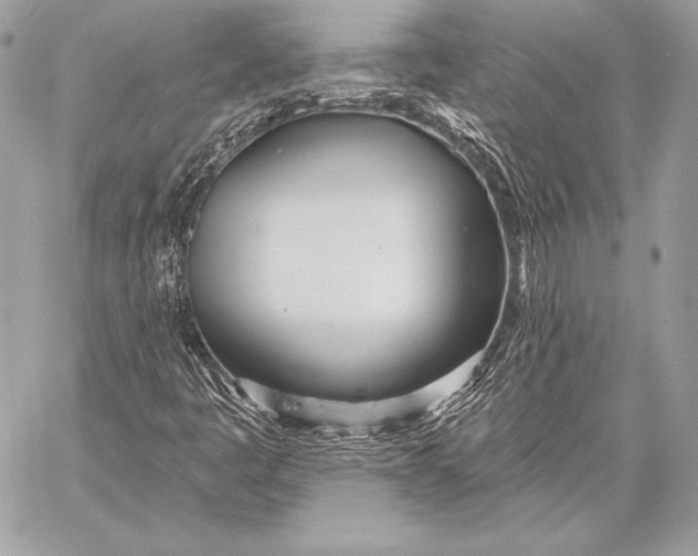 X0000059791445200511111523
