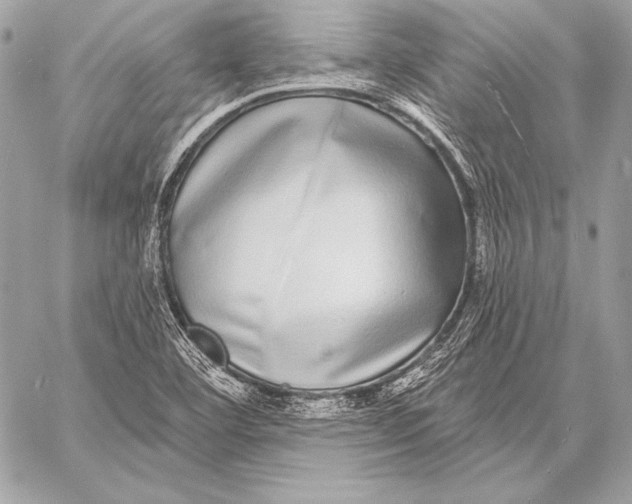 X0000059791460200511111523