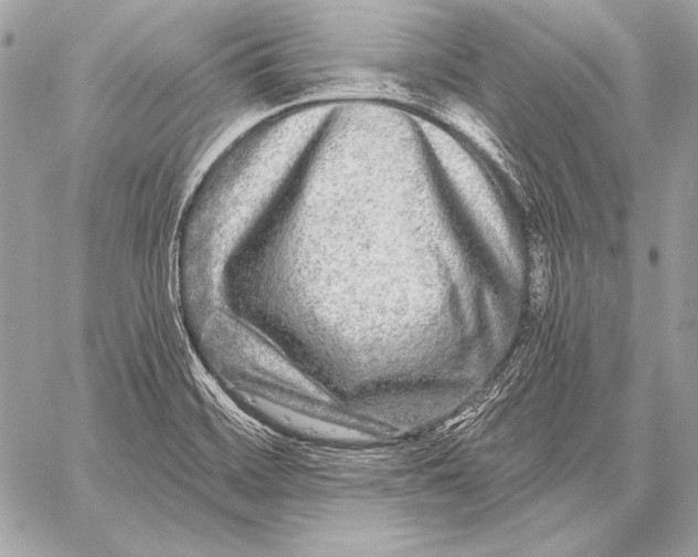 X0000059791468200511111522