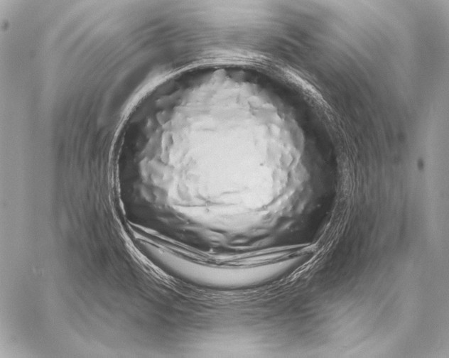 X0000059791471200511111522