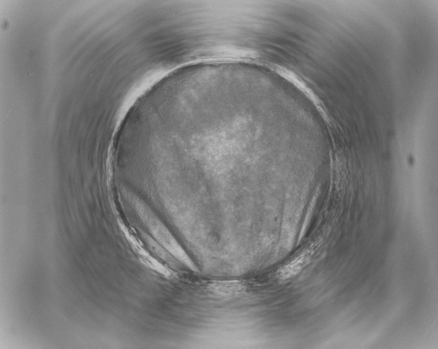 X0000059791477200511111522
