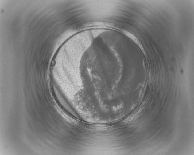 X0000059791482200511111522