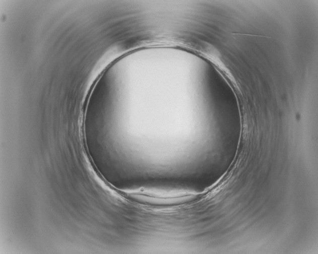 X0000059791484200511111522