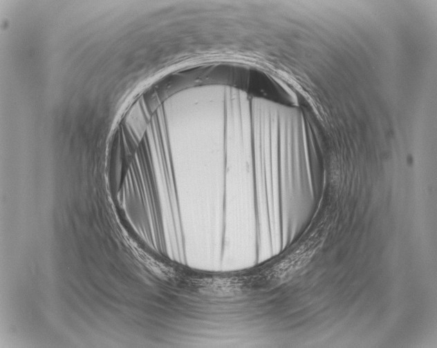 X0000059791508200511111522