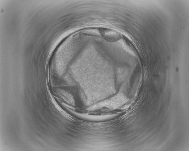 X0000059791515200511111522