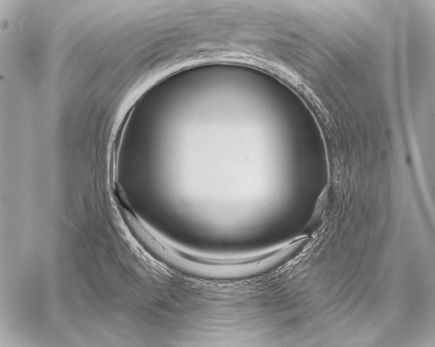 X0000059791520200511111522
