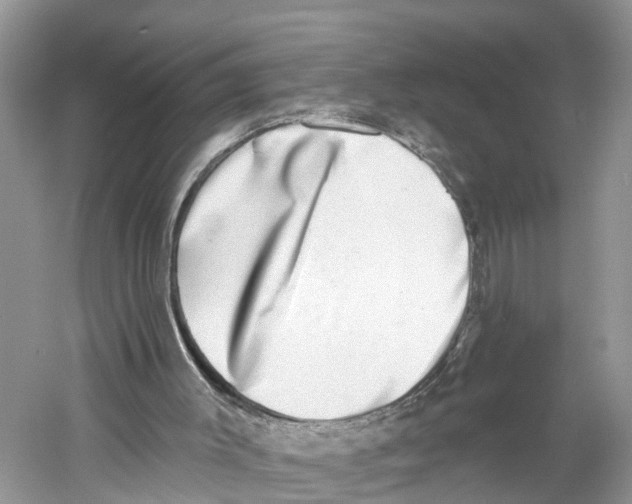 X0000059790003200511181500