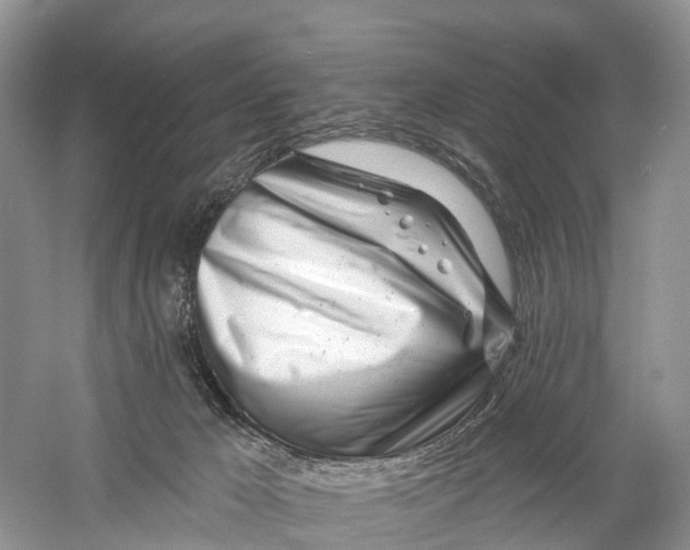 X0000059790029200511181500