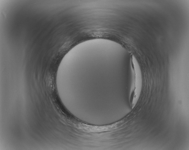 X0000059790031200511181500