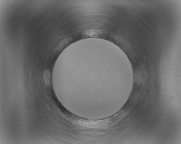X0000059790036200511181500