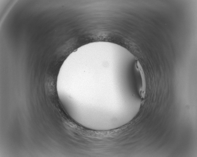 X0000059790037200511181500