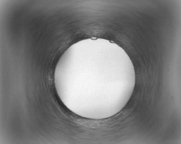 X0000059790040200511181500