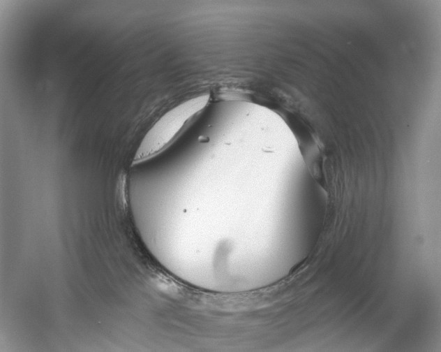 X0000059790041200511181500