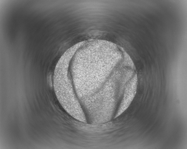 X0000059790042200511181500