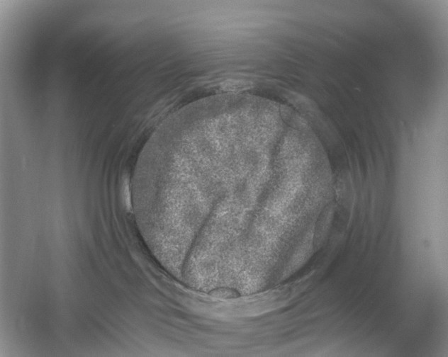 X0000059790046200511181459