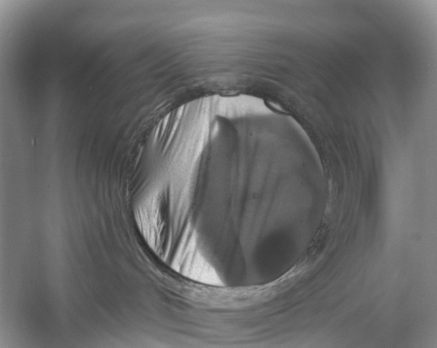 X0000059790048200511181459
