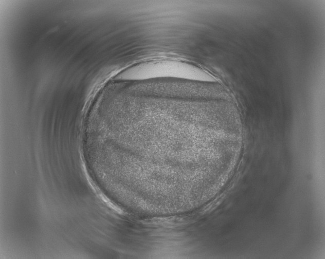 X0000059790049200511181459