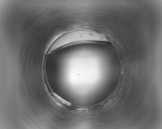 X0000059790052200511181459
