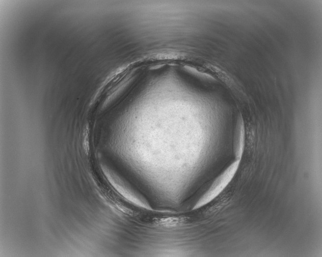 X0000059790064200511181459