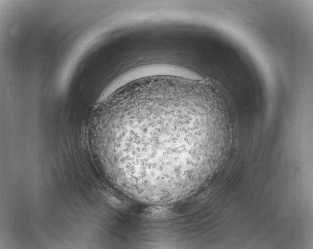 X0000059790093200511181459