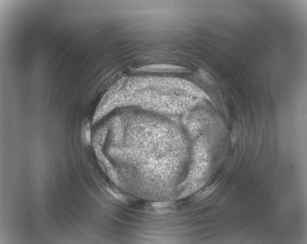 X0000059790095200511181459