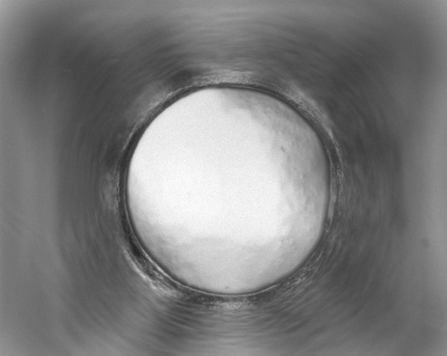 X0000059790107200511181458