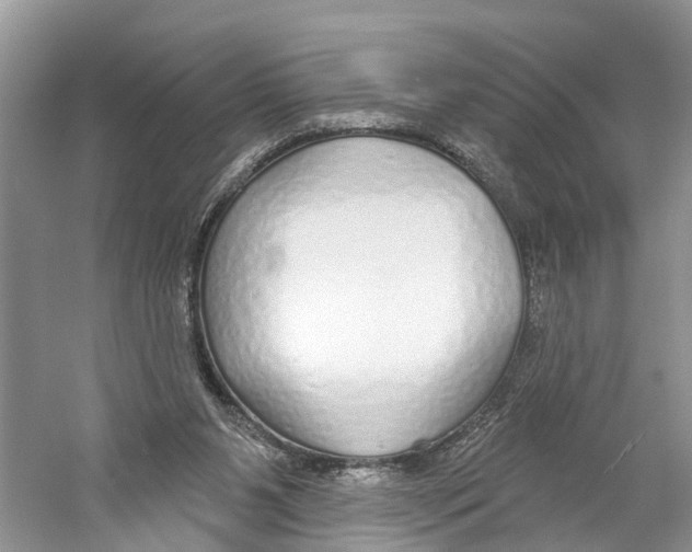 X0000059790111200511181458