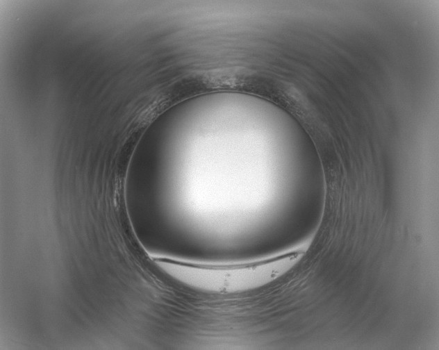 X0000059790125200511181458