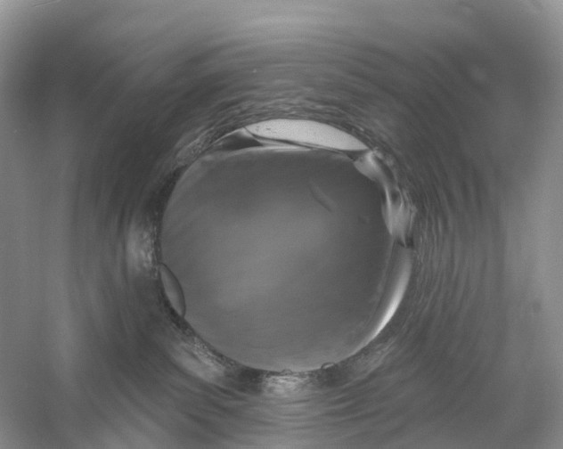 X0000059790139200511181458