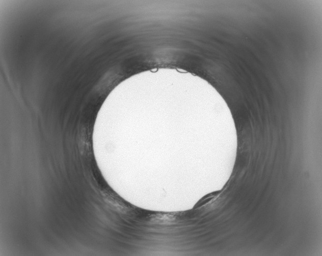 X0000059790140200511181458