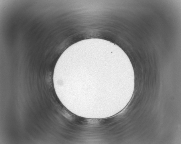 X0000059790144200511181458