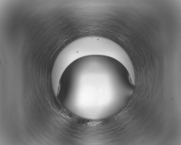 X0000059790172200511181457
