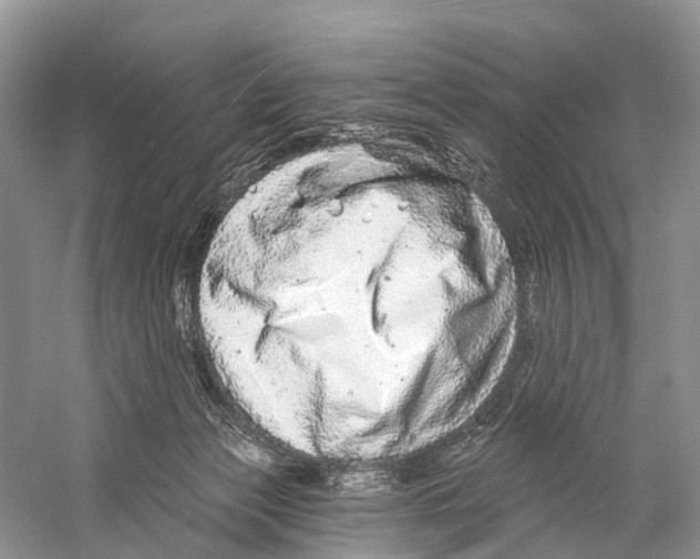 X0000059790173200511181457