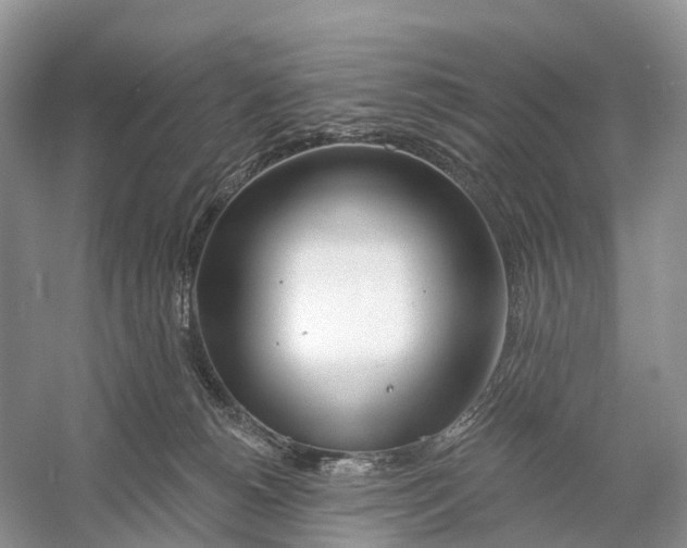X0000059790180200511181458