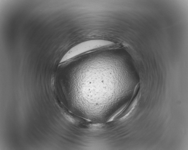 X0000059790192200511181458