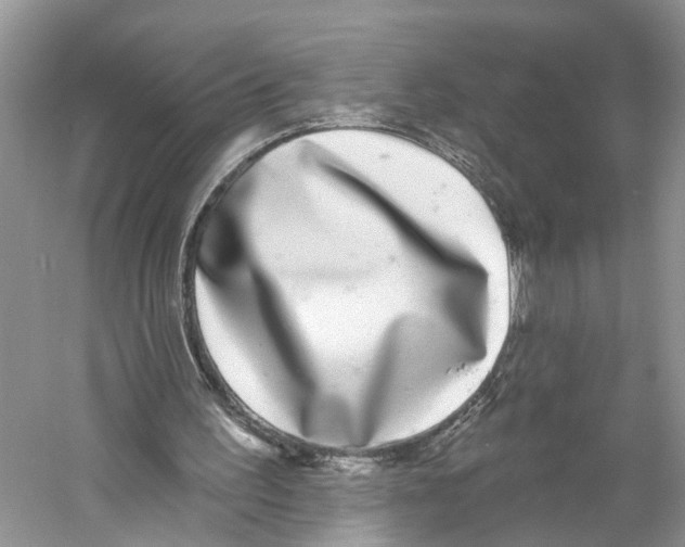 X0000059790195200511181457