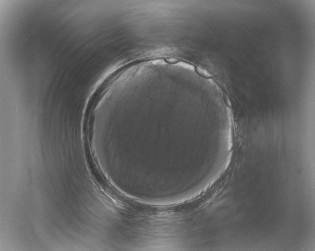 X0000059790196200511181457