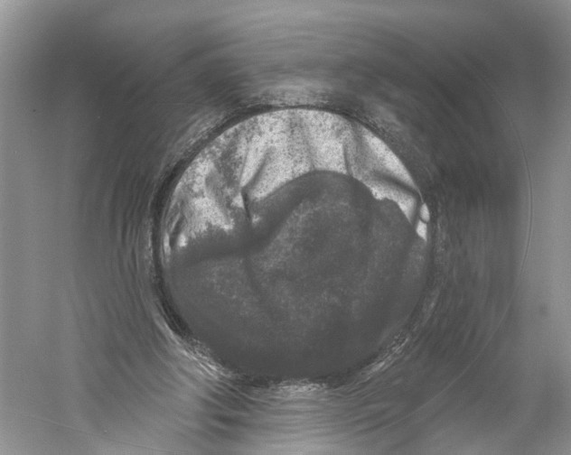 X0000059790202200511181457