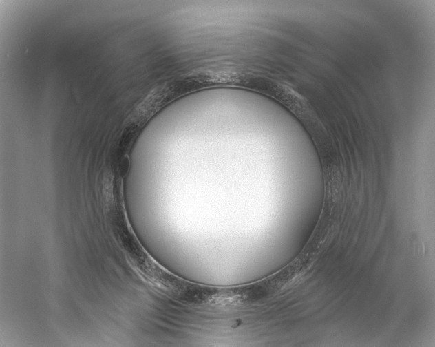 X0000059790213200511181457