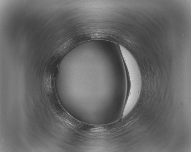 X0000059790219200511181457