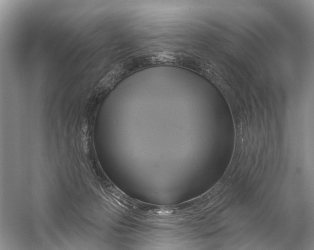 X0000059790223200511181456