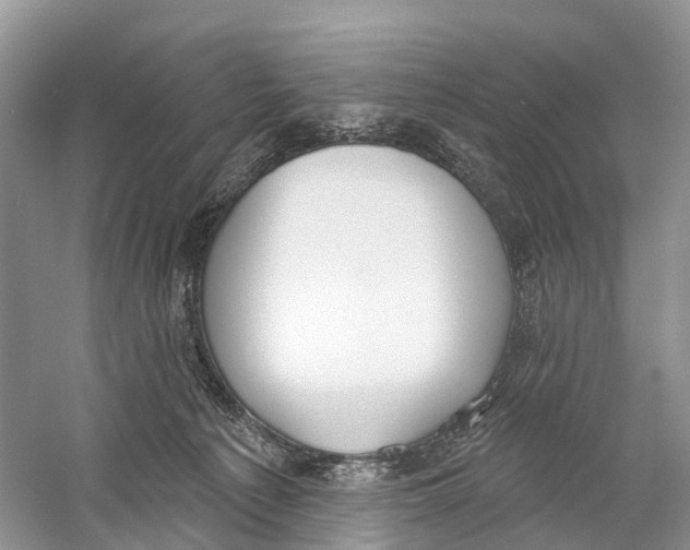 X0000059790225200511181456