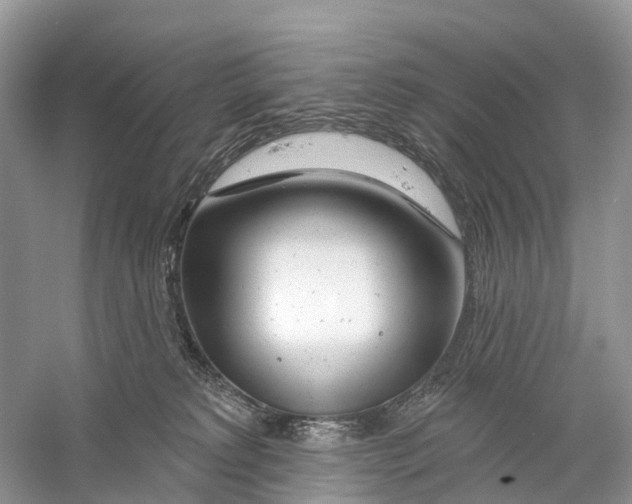 X0000059790229200511181456