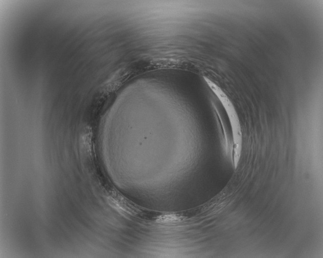 X0000059790231200511181456
